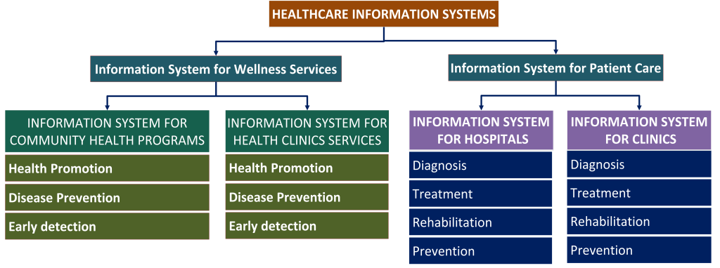 healthcare-information-systems- Taction